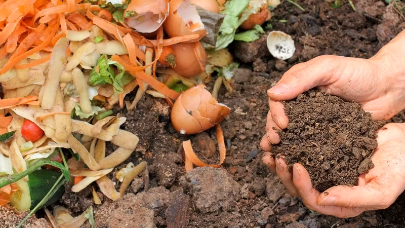 Vietnam aims to raise the proportion of organic fertilisers to 15% by 2020.