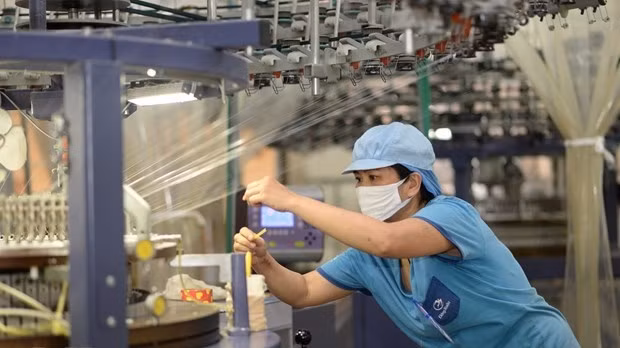 Vietnam will have great opportunities to export its products to Sweden when the EVFTA takes effect. (Photo: VNA)