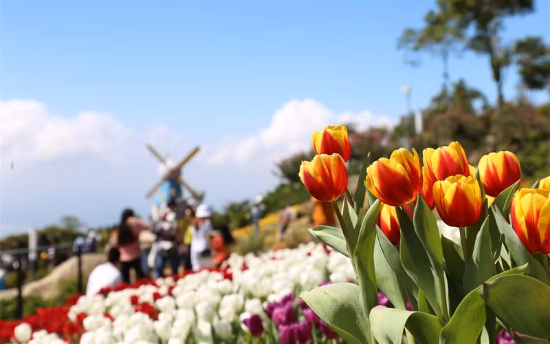 With a complex of spiritual works on the top of Ba Den Mountain, including the Tay Bo Da Son Buddha Statue and the Buddhist art exhibition area, launched before the Lunar New Year, this is one of the new and attractive tourist products, creating the highlights of Tay Ninh tourism this year.