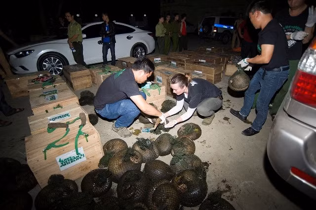 WRCC staff conducting rescue work at the scene. (Credit: baotainguyenmoitruong.vn)