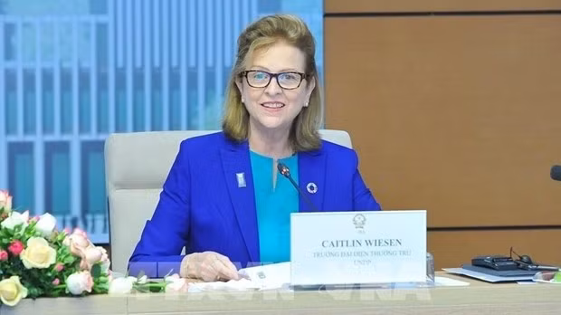 United Nations Development Programme Resident Representative Caitlin Wiesen (Photo: VNA)