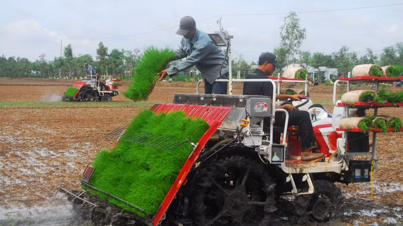 Putting rice transplanters mounted with pesticide sprayers into the fields in Tang Hoa Commune, Go Cong Dong district (Tien Giang).