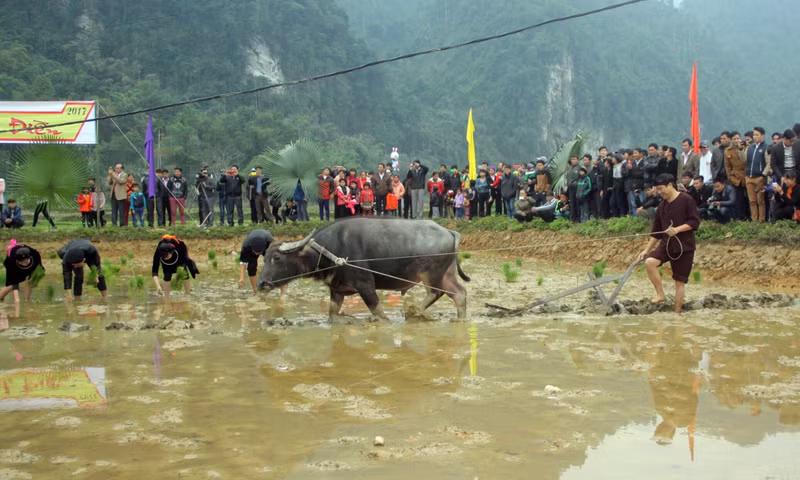 Tuyen Quang ethnic groups observe Long Tong festival