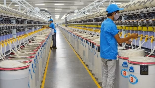 The first phase of the fibre plant has officially begun operating