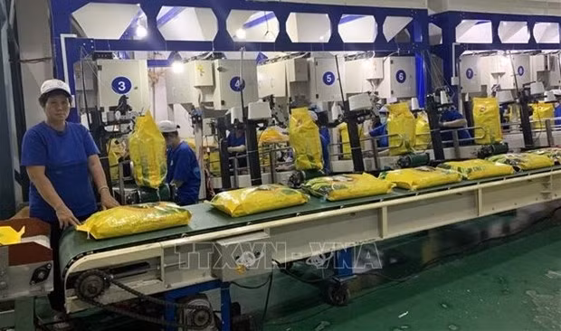 Rice is packaged at a factory in Vietnam. (Photo: VNA)
