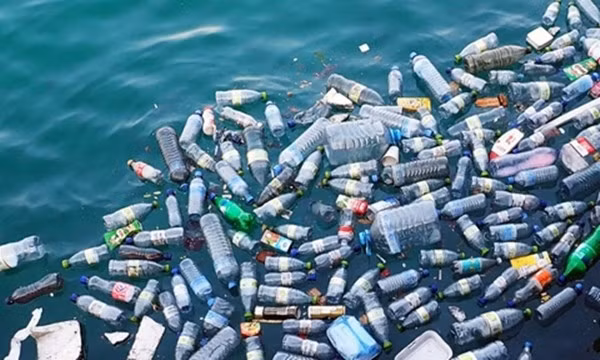 Illustrative image (Photo: Baotainguyenvamoitruong.vn)