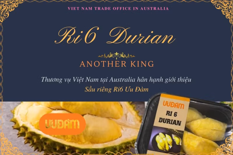 Uu Dam Australia posts its successful distribution of 80 tonnes of frozen Ri6 durians, with the company soon receiving more 49 tonnes. (Illustrative image/Photo: BCT)