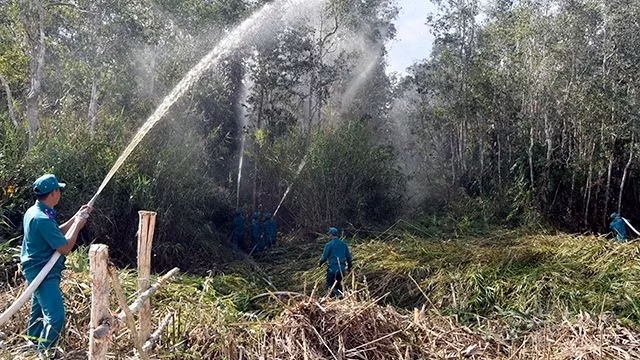 Illustrative image (Photo: NDO/Quoc Khai)