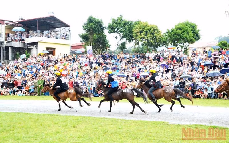 Jockeys galloping during the race.