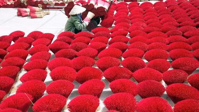 Bunches of incense sticks are left to dry outdoor