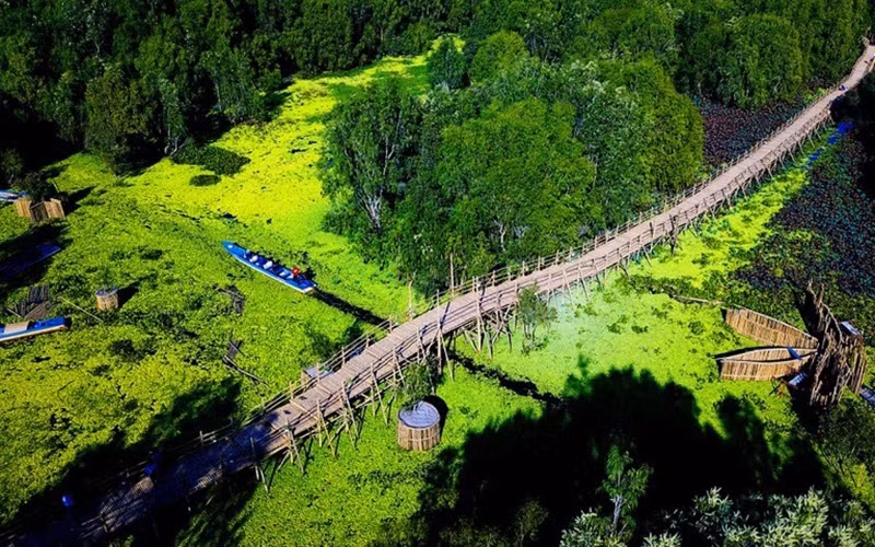 The “ten thousand step” bamboo bridge, with a total length of more than 10km, the longest bamboo bridge in Vietnam.