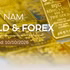 Infographic: SJC-branded gold bars hold at 144.8 million VND per tael on October 10
