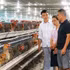 Bac Ninh promotes large-scale poultry farming. (Photo: NGOC QUANG)