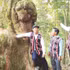 The 'po mu' (fokienia) forest in Hung Son Commune has become a popular destination for domestic and international visitors.