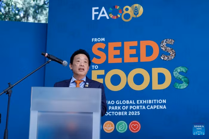 Director-General of the Food and Agriculture Organization of the United Nations (FAO) Qu Dongyu addresses the opening ceremony of the FAO global exhibition titled "From Seeds to Foods" in Rome, Italy, Oct. 10, 2025. FAO opened a global exhibition titled "From Seeds to Foods" in Rome on Friday, celebrating eight decades of international cooperation in fighting hunger and transforming agrifood systems. (FAO/Handout via Xinhua)