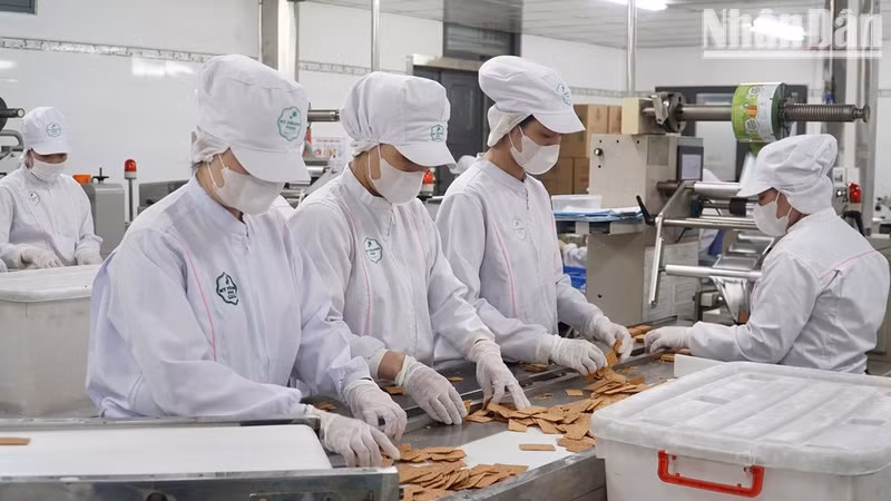 Vietnamese enterprises drive innovation.