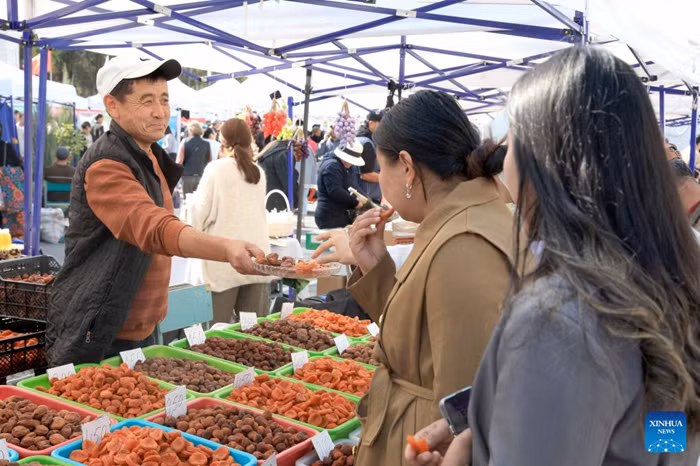 People select agricultural products at an agro-industrial exhibition and agricultural fair in Bishkek, Kyrgyzstan, Oct. 17, 2025. A three-day agro-industrial exhibition and agricultural fair opened here on Friday, bringing together exhibitors from various regions of the country. It aims to showcase Kyrgyzstan's agricultural development achievements and strengthen agricultural exchanges and cooperation among regions. (Photo: Xinhua)