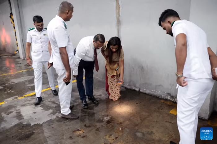 Health officials inspect a potential mosquito breeding site in Colombo, Sri Lanka, on June 8, 2026. Sri Lankan health authorities inspected more than 70,000 premises on the first day of a three-day national dengue mosquito control program that started on Monday, the Ministry of Health and Mass Media said on Tuesday. Sri Lanka has reported 36,168 dengue cases so far this year, with 20 deaths, according to the ministry. (Photo: Xinhua)