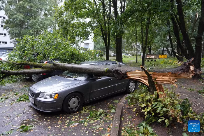  This photo taken on Aug. 23, 2026 shows the aftermath of a powerful storm in Riga, Latvia. A powerful cyclone swept northward across the three Baltic states on Saturday, killing two as strong winds, torrential rain and thunderstorms ravaged Lithuania, Latvia and Estonia. Meteorological data showed Saturday's storm was the most destructive to hit Latvia since January 2005. (Photo: Xinhua)