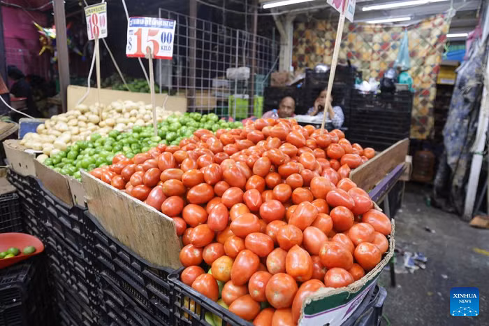 Tomatoes are pictured at a stall in a public market in Mexico City, capital of Mexico, July 14, 2025. The U.S. Department of Commerce announced Monday it is immediately placing a 17.09 percent duty on most fresh tomatoes imported from Mexico, marking a withdrawal from the 2019 agreement between the two countries to suspend the antidumping investigation on fresh tomatoes. (Photo: Xinhua)