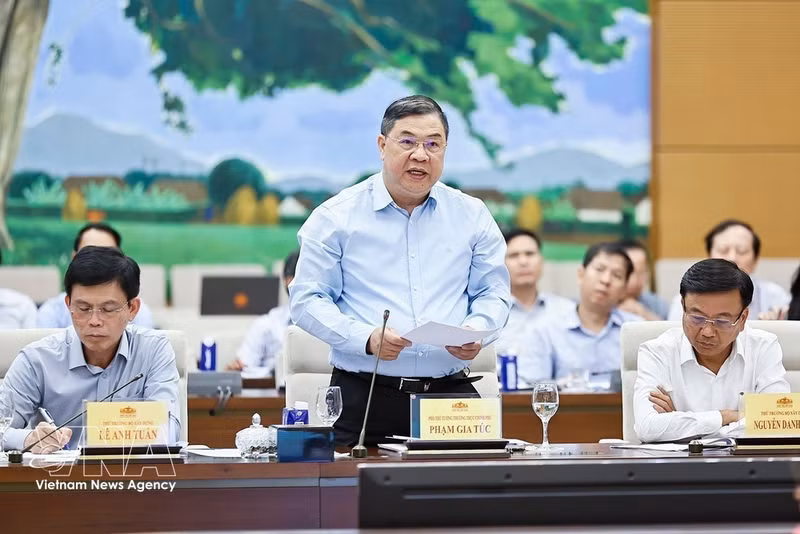 Permanent Deputy Prime Minister Pham Gia Tuc speaks at the meeting. (Photo: VNA)