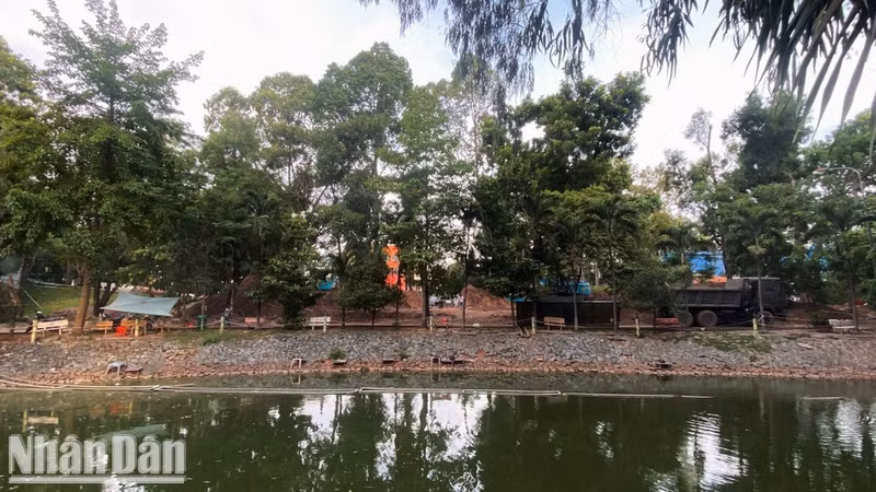 The search and recovery site at the second burial ground, behind the line of trees