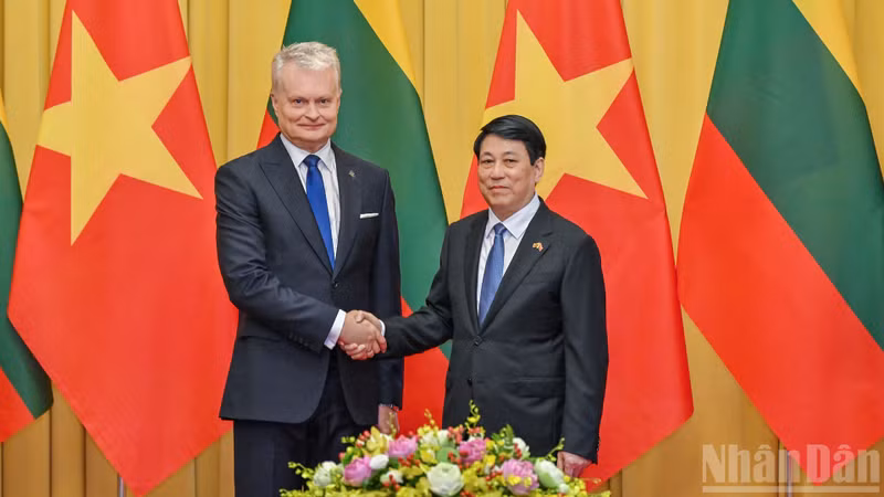 President Luong Cuong and his Lithuanian counterpart Gitanas Nauseda. (Photo: Thuy Nguyen)