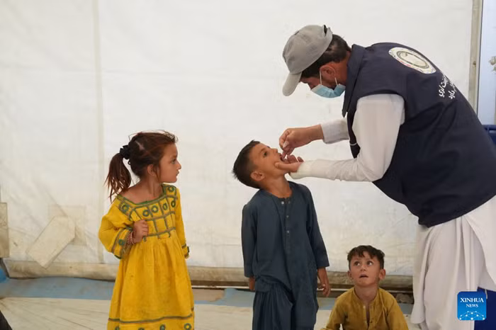 A health worker administers a dose of polio vaccine to a refugee child in Kabul, Afghanistan, on Aug. 17, 2026. The Afghan government on Monday launched a polio vaccination campaign targeting children in five provinces to prevent further spread of the disease, local media outlet TOLOnews reported, citing the Ministry of Public Health. (Photo: Xinhua)