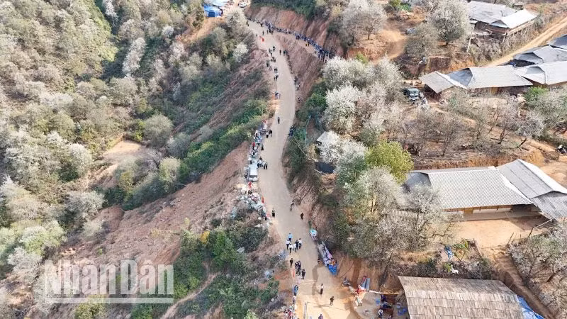 This year’s Son Tra Flower Festival in Ngoc Chien Commune, Muong La District, attracts large numbers of tourists and people from inside and outside the province.