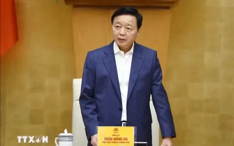 Deputy Prime Minister Tran Hong Ha speaks at the conference. (Photo: VNA)