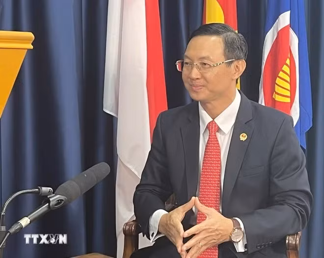 Vietnamese Ambassador to Singapore Tran Phuoc Anh. (Photo: VNA)