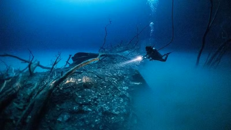 Two international undersea cables are still facing issues. (Illustrative image. Source: cnbc)