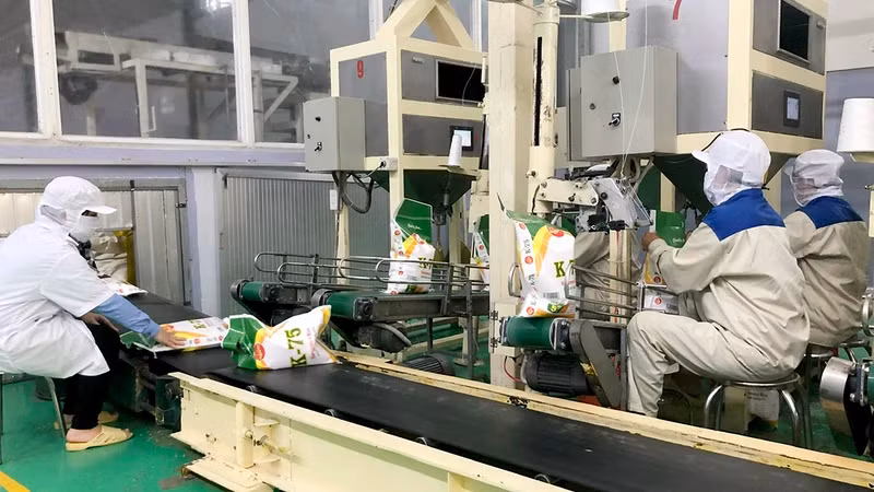 Packaging rice for export at a factory of Loc Troi Group Joint Stock Company in Thoai Son District, An Giang Province. (Photo: Tran Ngoc)