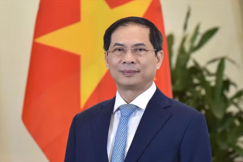 Minister of Foreign Affairs Bui Thanh Son (Photo: VNA)