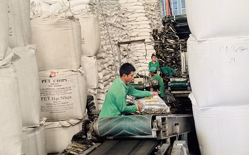 Packaging rice for export at Chon Chinh Import-Export Company, Dong Thap province.