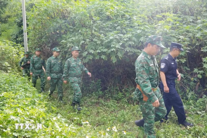 At the patrol (Photo: VNA)