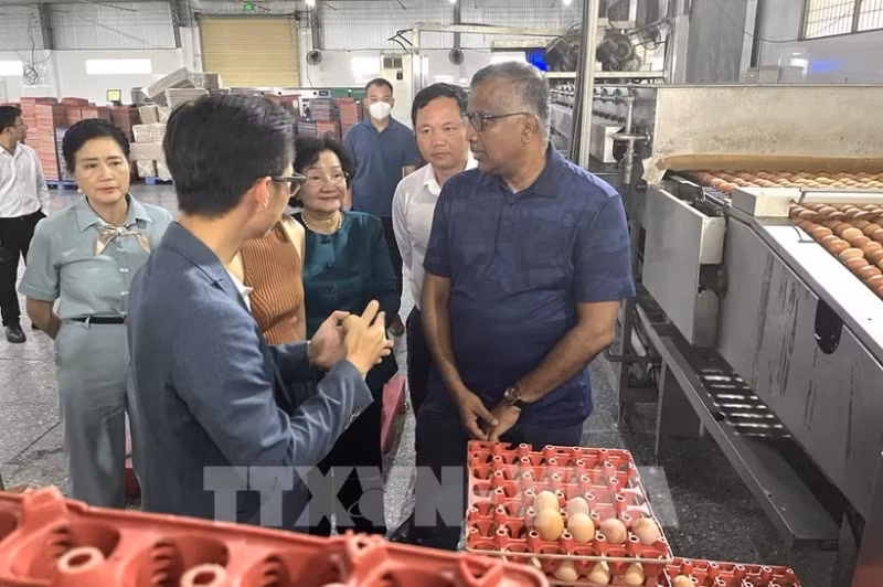 The Singaporean working delegation visits Ba Huan high-tech poultry farm in the Mekong Delta province of Long An. (Photo: VNA)