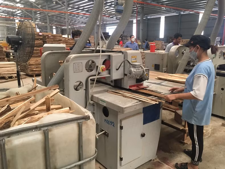 Investing in equipment to develop a modern wood processing industry. (Photo: Dung Minh) Investing in equipment to develop a modern wood processing industry. (Photo: Dung Minh)
