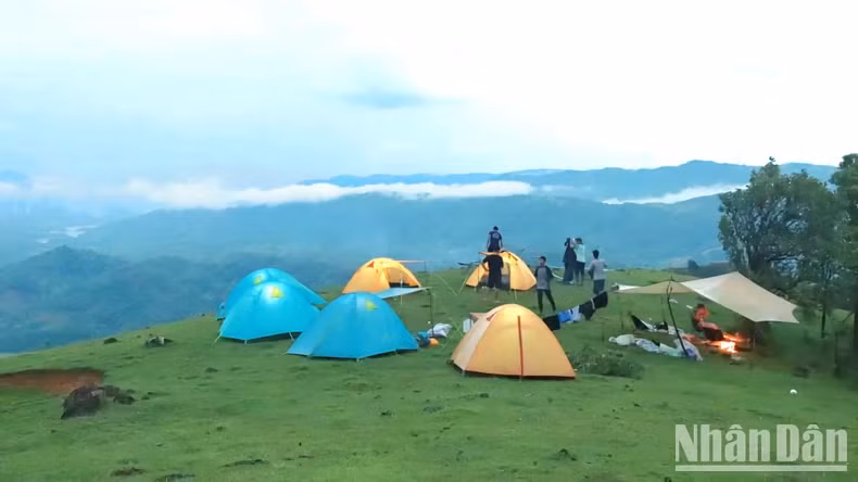 Tourists camp on the beautiful grass hill of Xa Reng. Tourists camp on the beautiful grass hill of Xa Reng.
