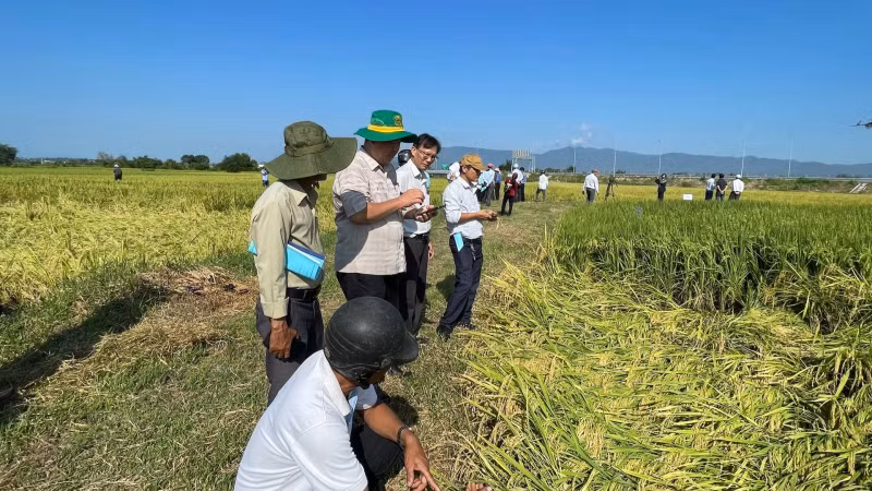 With land, ethnic minorities will increase production. With land, ethnic minorities will increase production.