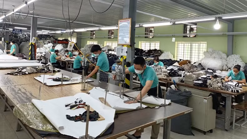 Cutting product samples at Nam Dinh Textile and Garment Joint Stock Corporation.