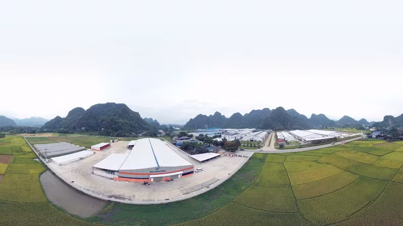 Phuc Ung Industrial Cluster (Son Duong) has an occupancy rate of 96%.