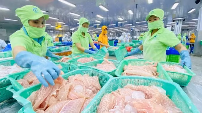 Vietnamese seafood is now present in more than 170 countries and territories. (Photo: Nongnghiep.vn)