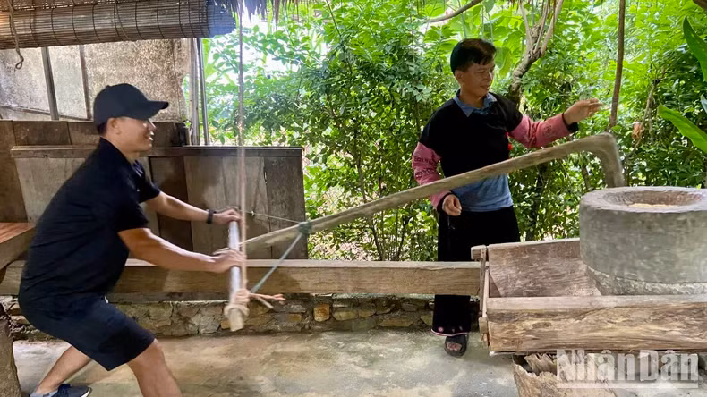 Tourists can experience many interesting activities at rural destinations.