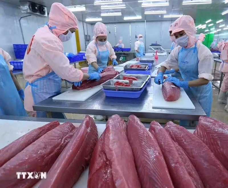 A shrimp processing line for export at a factory of Minh Phu Seafood Group. (Photo: VNA)