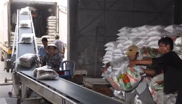 Increased education fees and rice prices are blamed for the CPI rise in October. (Photo: VNA)