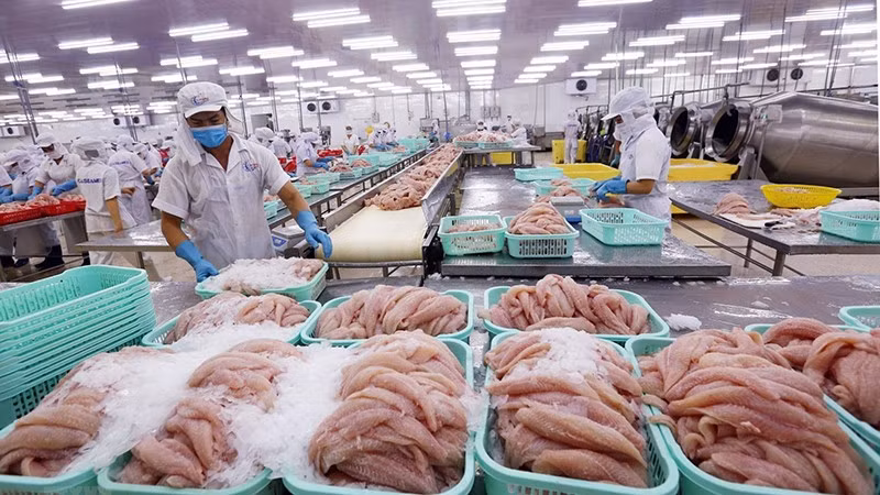 Seafood exports are facing many difficulties.
