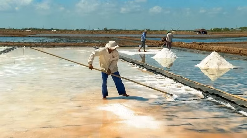 Producing high quality salt by using the plastic tarpaulin method.