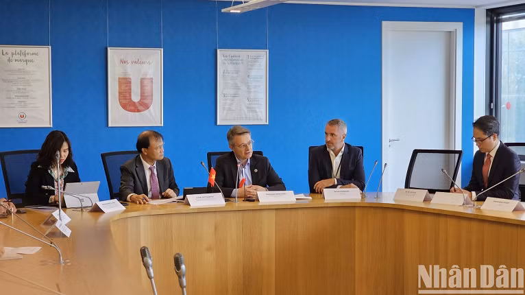 At the meeting between Deputy Minister Hai and Dominique Schelcher, President and CEO of Système U Group.