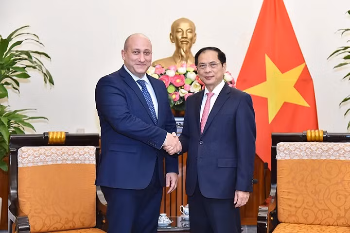 Minister of Foreign Affairs Bui Thanh Son receives Georgian Deputy Minister of Foreign Affairs Alexander Khvtisiashvili. (Photo: MoFA)